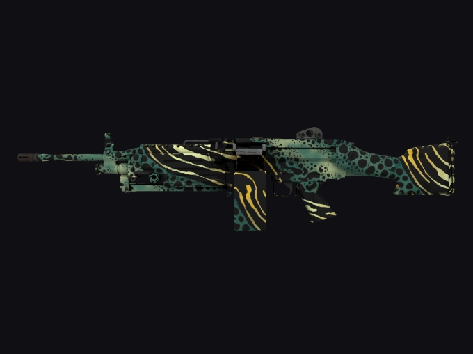 skin preview seed 902