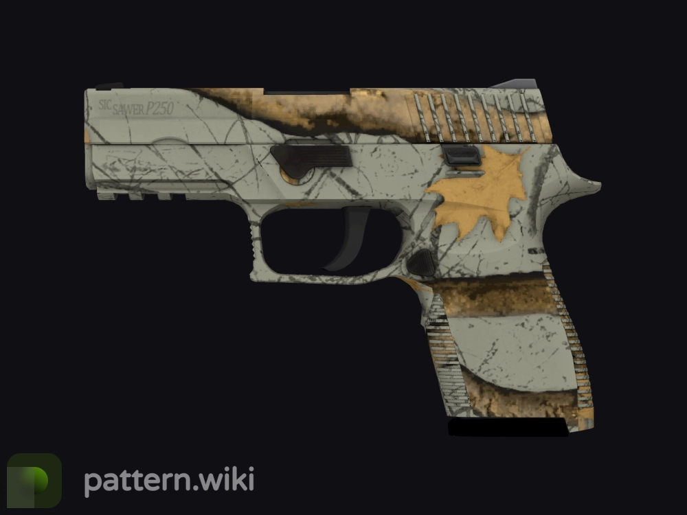 P250 Modern Hunter seed 497