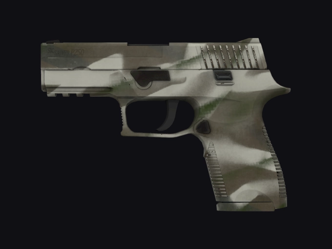 skin preview seed 344