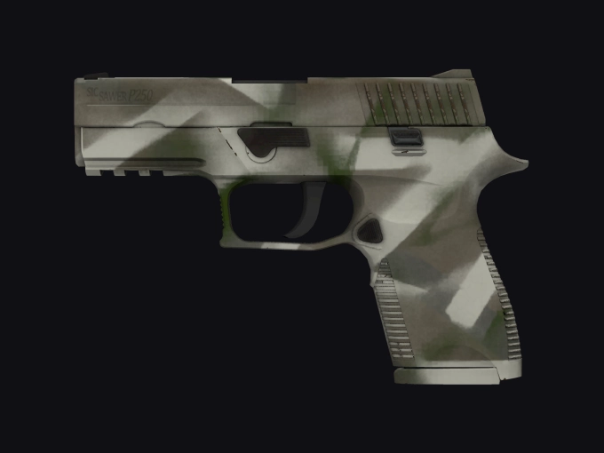 skin preview seed 338