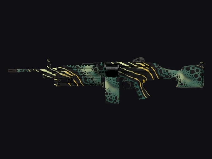 skin preview seed 165