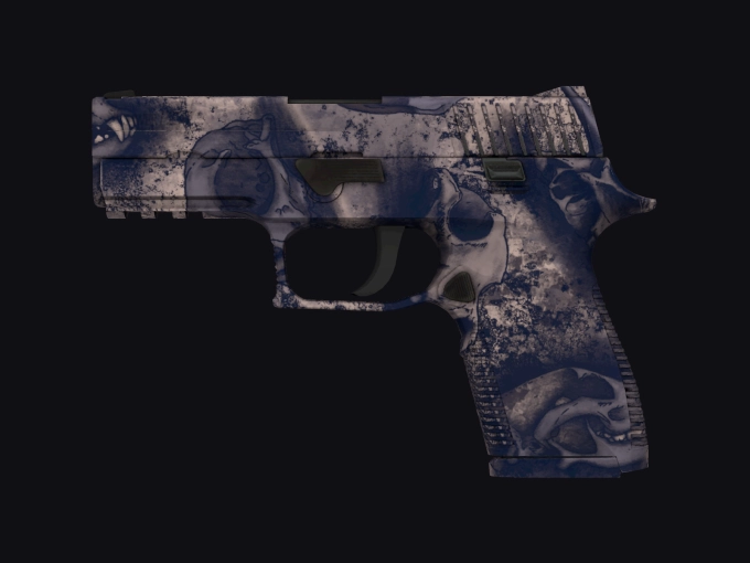 skin preview seed 904