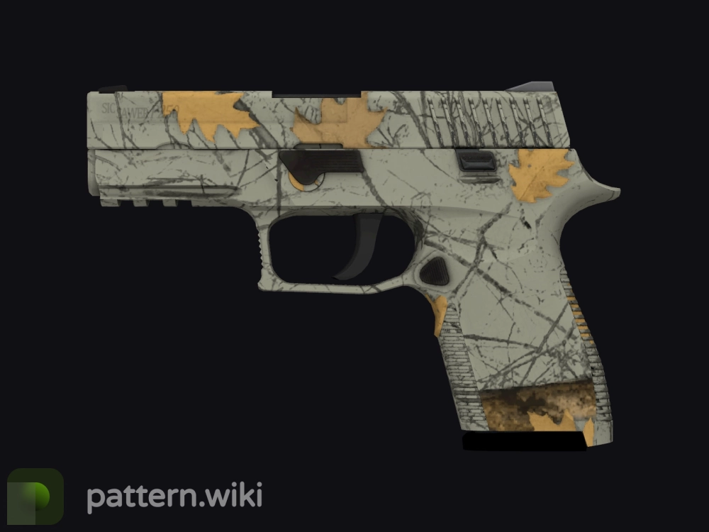 P250 Modern Hunter seed 457